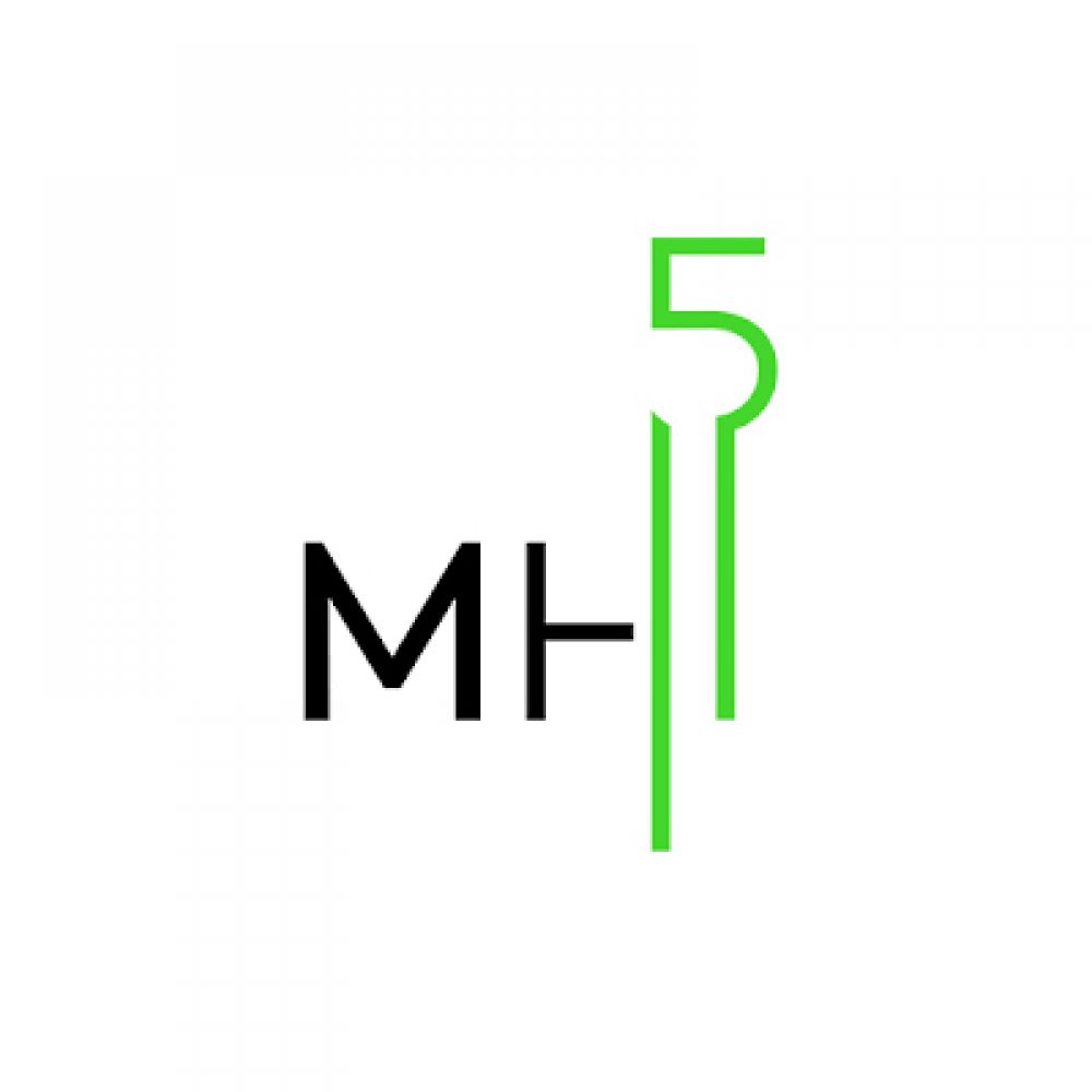 Muenchenhoch5 Logo